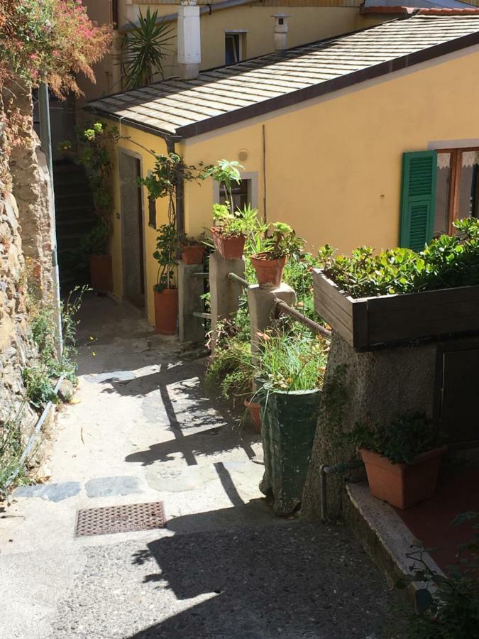 Apartment Chic 5 Terre *